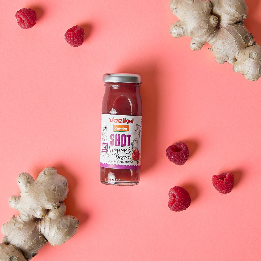 Voelkel Shot Ingwer & Beeren – niceria Voelkel Shot Ingwer & Beeren – niceria